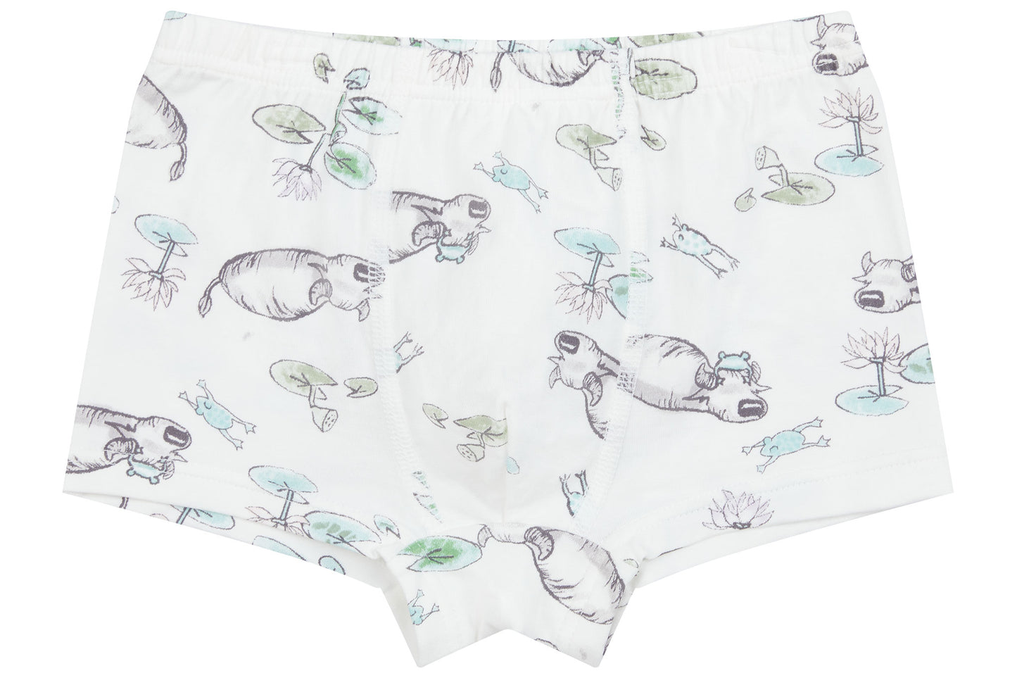 Boys Boxer Briefs Underwear (Bamboo, 2 Pack) - The Hare & The Ant