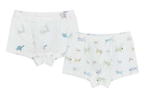 Boys Boxer Briefs Underwear (Bamboo, 2 Pack) - Owls – Nest Designs