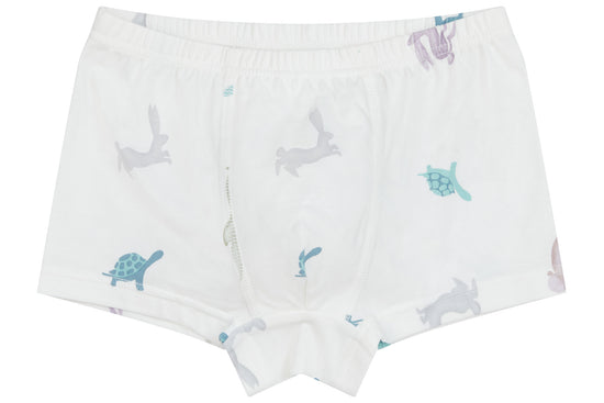 Boys Boxer Briefs Underwear (Bamboo, 2 Pack) - The Mouse & The Fox