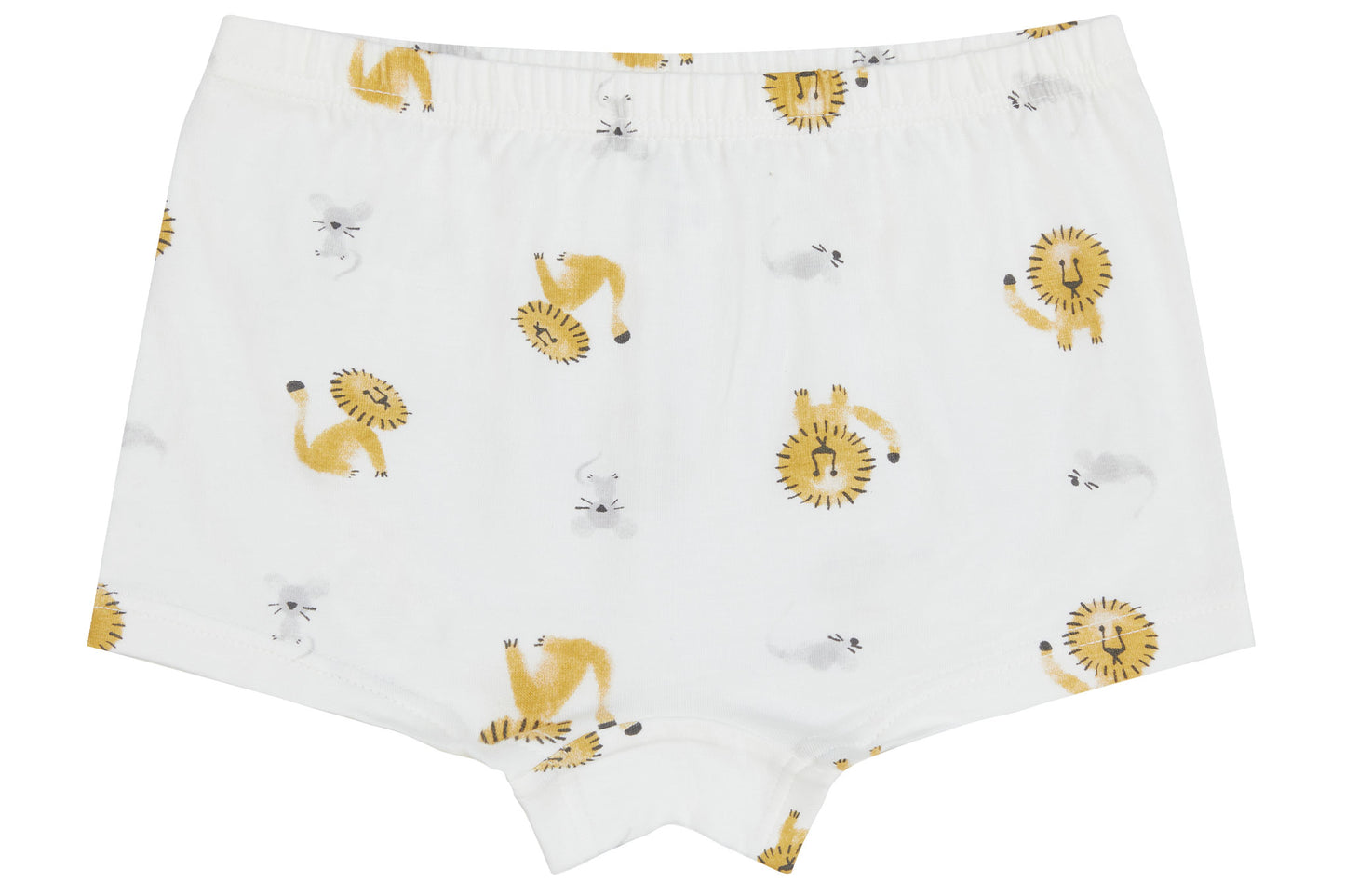 Girls Boy Short Underwear (Bamboo, 2 Pack) - The Lion & The Goose ...